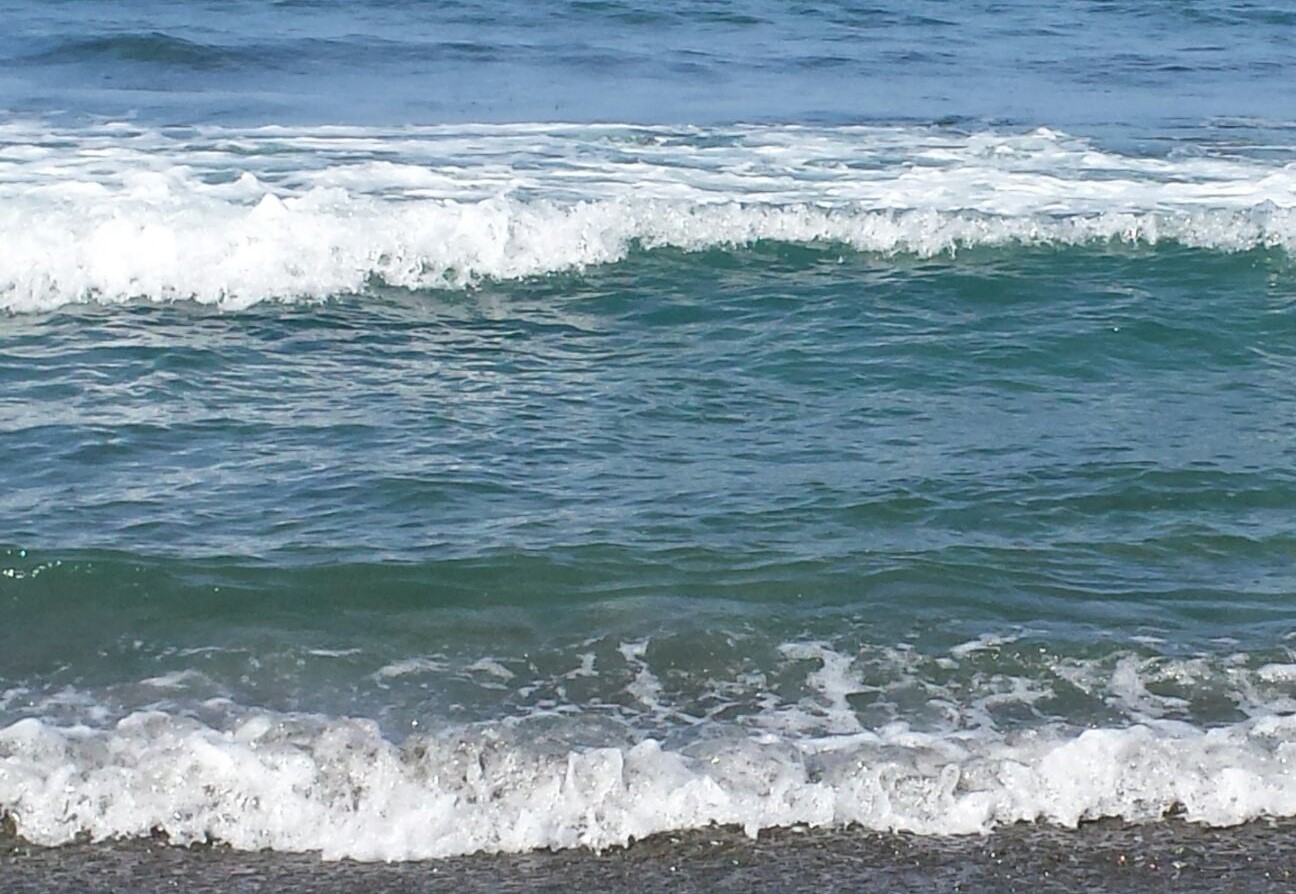 La pérdida de un ser querido y la ayuda del Mindfulness – Desarrollo de la Resiliencia