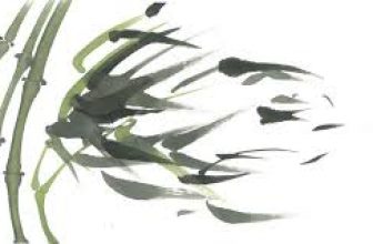 Tinta negra