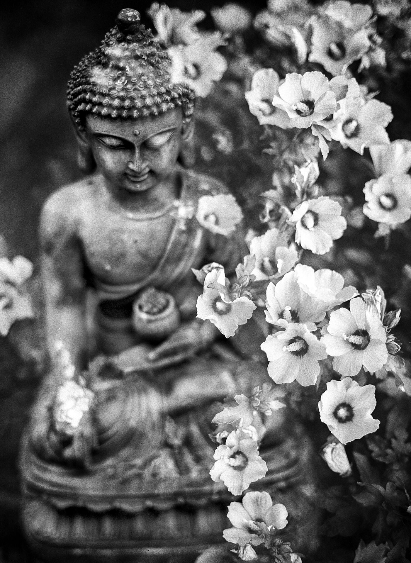 Qué es el Bypass Espiritual: una vía de escape