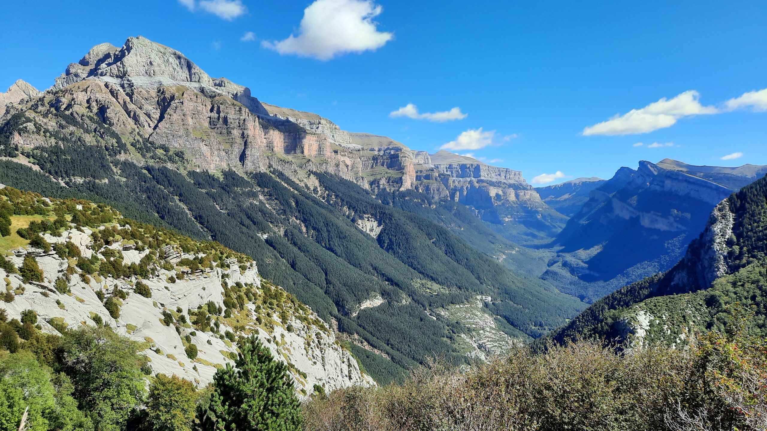 Montaña y libertad – Nieves Casanova