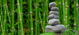 Meditación para principiantes – Nieves Casanova