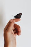 Mindfulness para PAS – Nieves Casanova