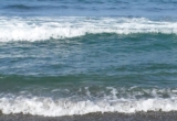 La pérdida de un ser querido y la ayuda del Mindfulness – Desarrollo de la Resiliencia